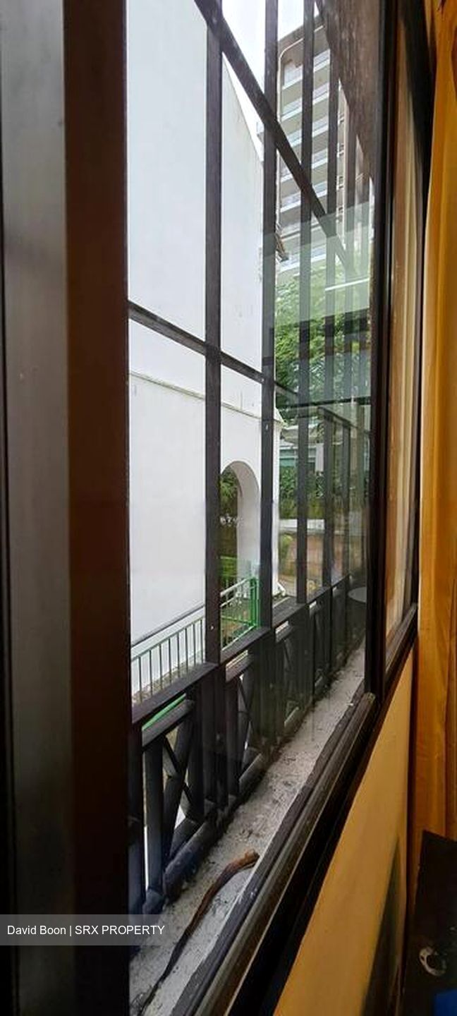 Emerald Hill Conservation Area (D9), Apartment #478161641